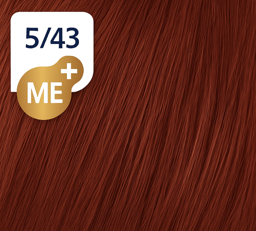 Capture d’écran 2025-11-24 à 21.11.04.png